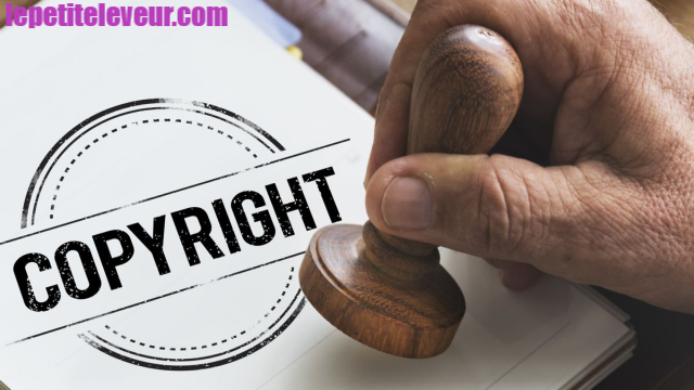 Pembajakan Hak Cipta Ilegal, Ini Dia Penjelasan dan Hukumnya di Indonesia!